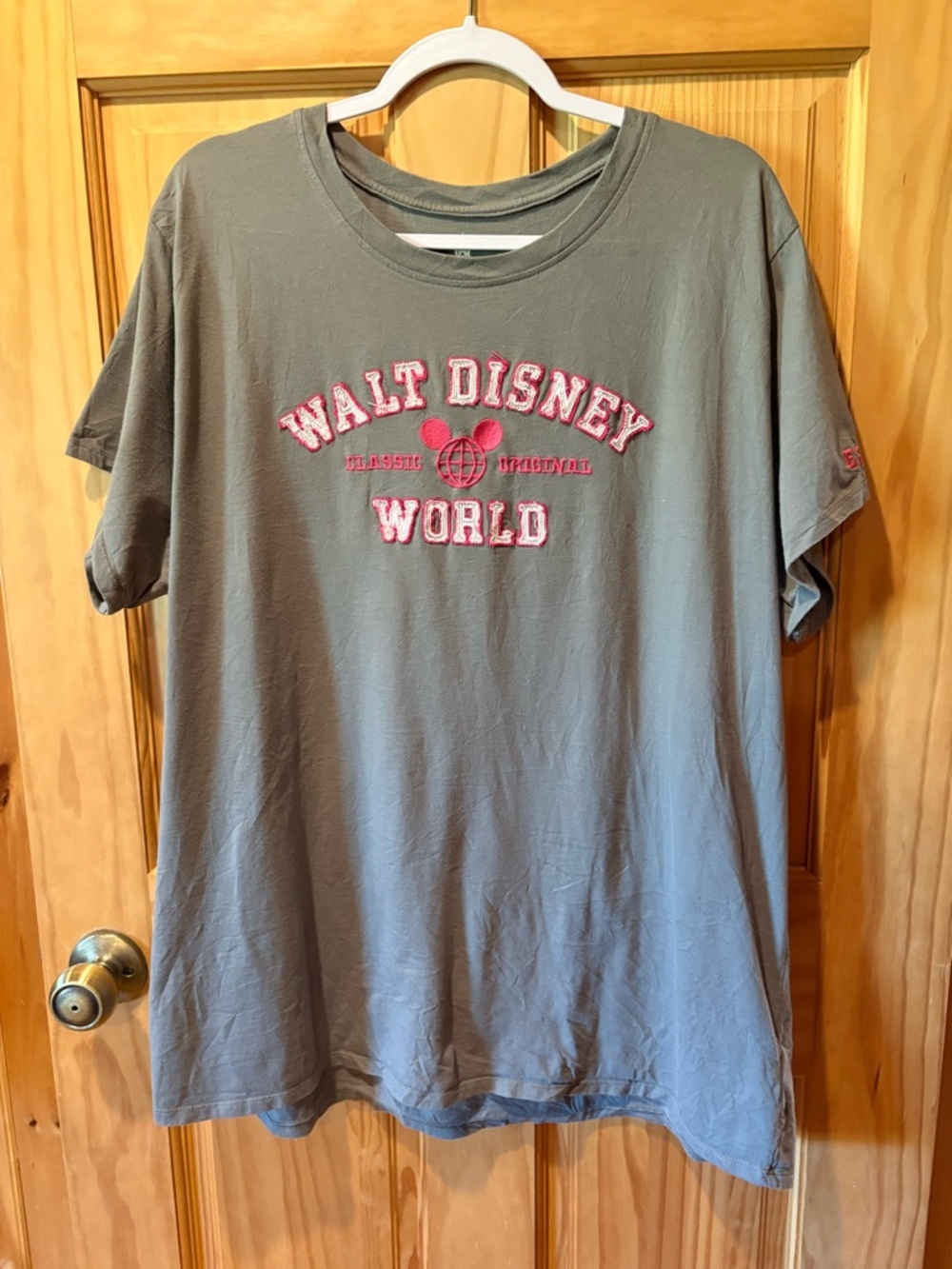 Walt Disney World Disney Parks graphic t-shirt women’s size 2X